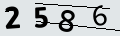 verifycode